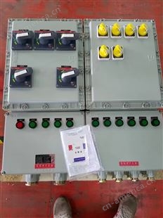 报价：防爆型应急照明配电箱220V双电源输入