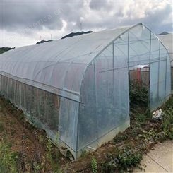 农业种植大棚 温室骨架生产定制 水肥一体机、物联网系统 电动顶开窗